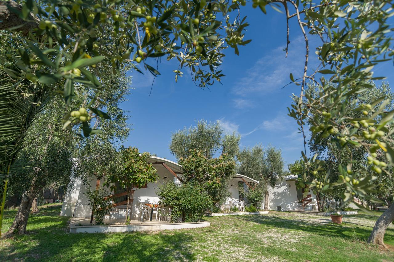 B&B Lido Dei Pini มัตตีนาตา ภายนอก รูปภาพ