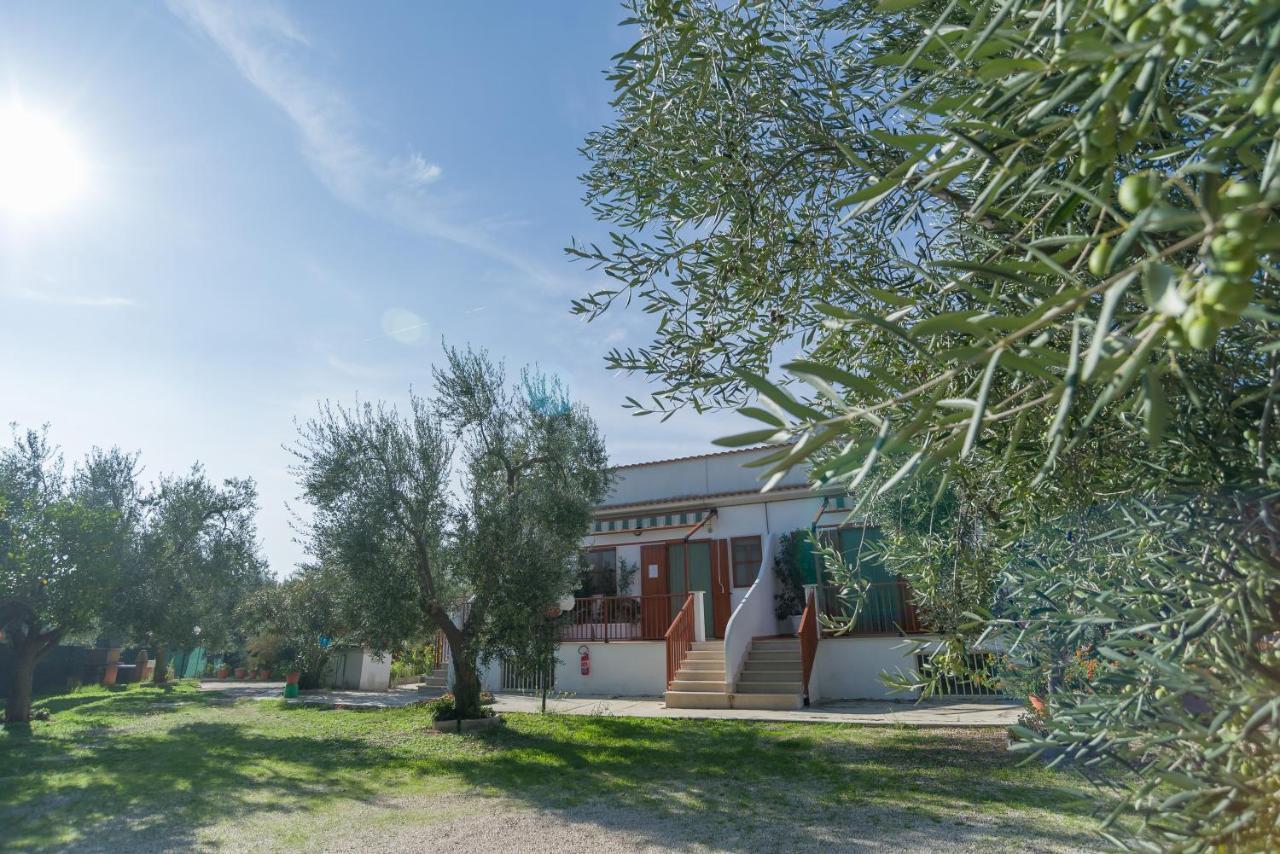 B&B Lido Dei Pini มัตตีนาตา ภายนอก รูปภาพ
